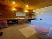 Ensuite with jacuzzi